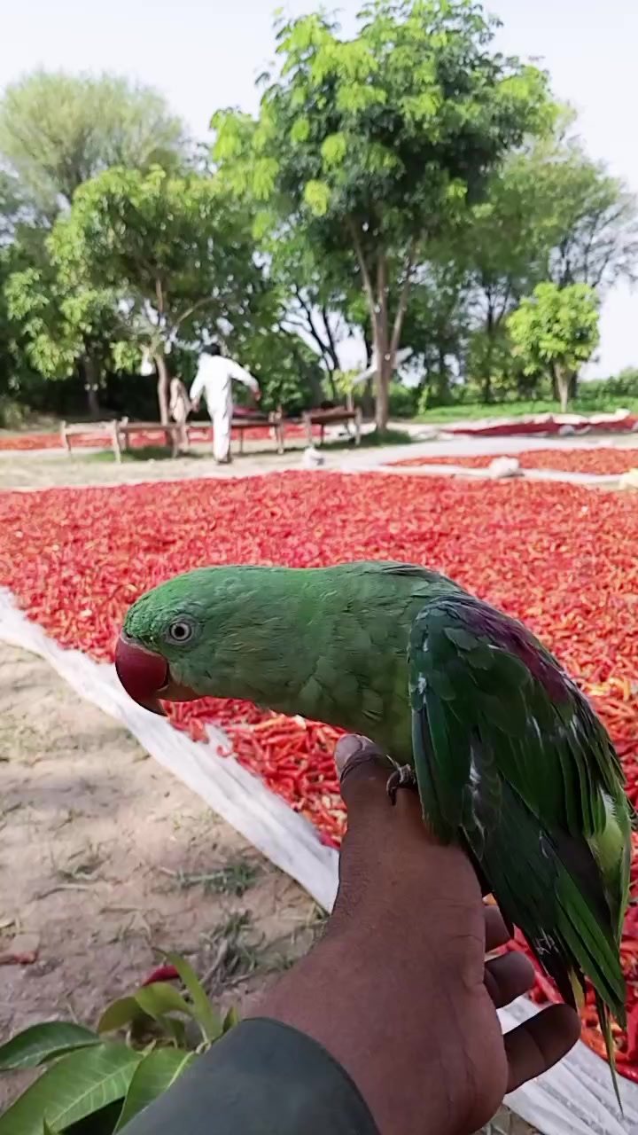 @جام نیاز
