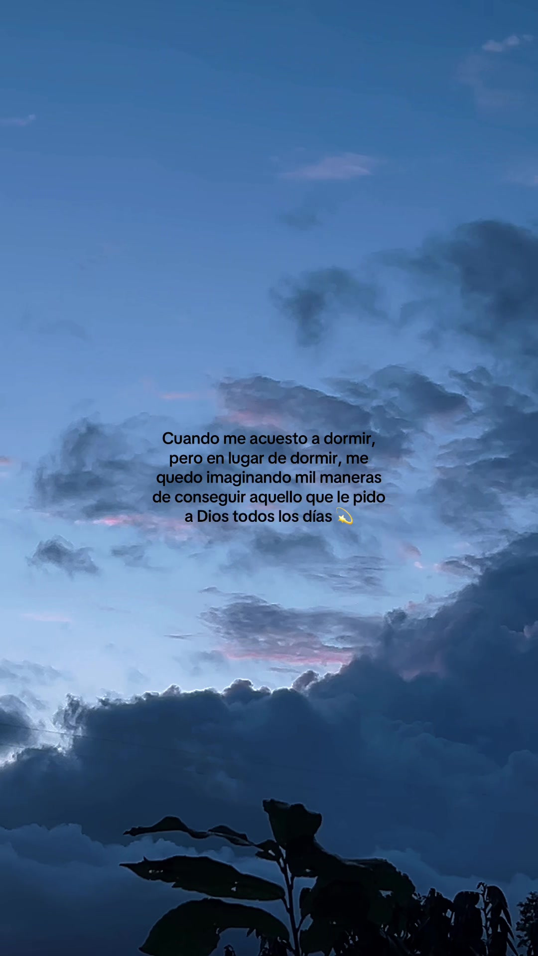 @Evelyn