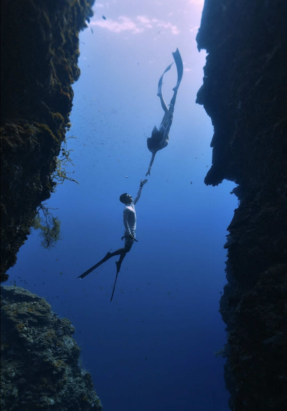 @Love Freediving Nha Trang