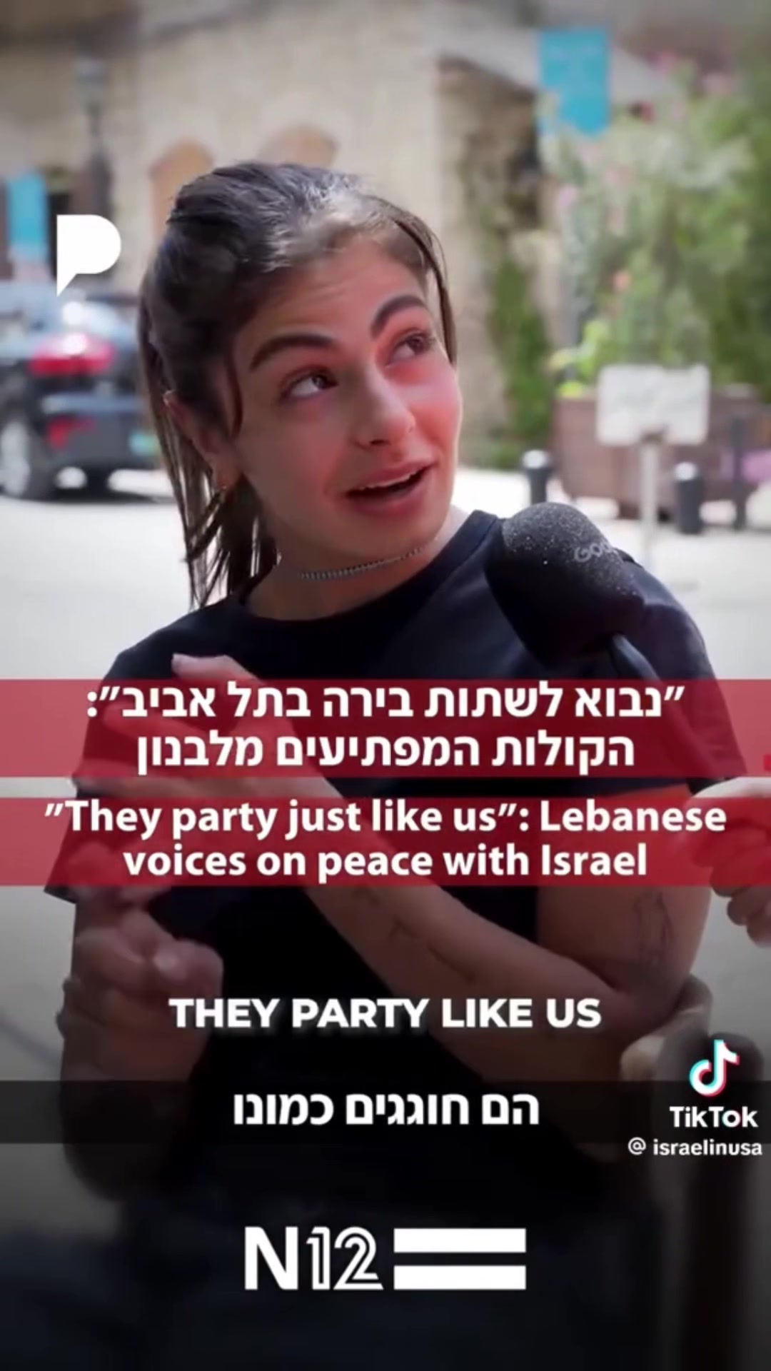 @TheLebaneseVoice