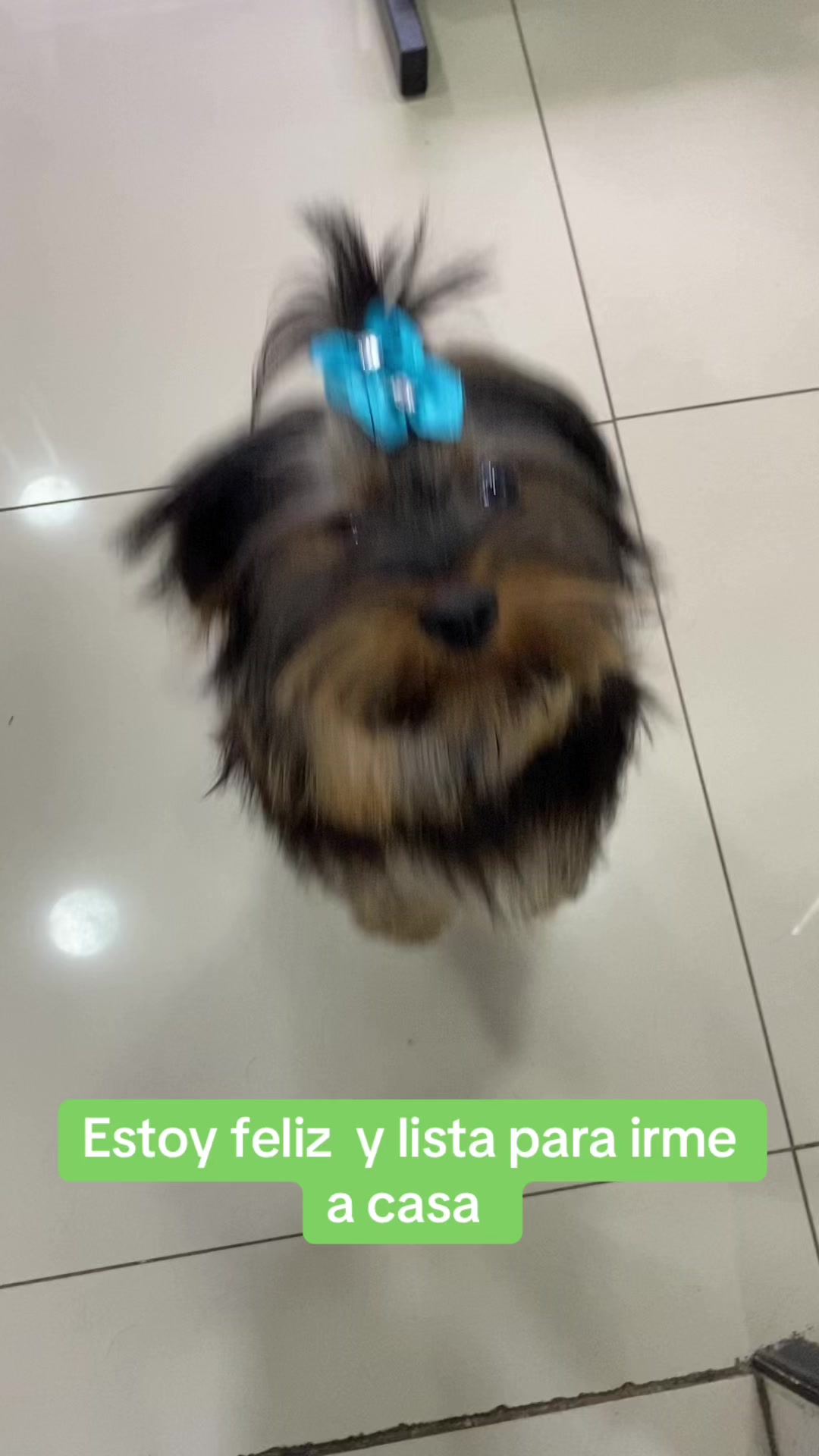 @Gran.kniche🐶