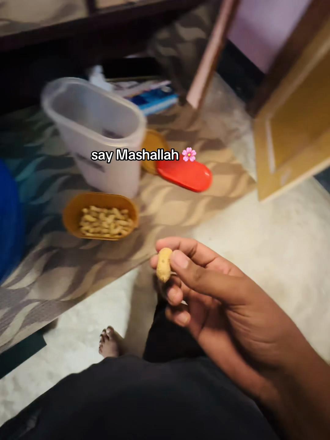 @𝑩𝒊𝒓𝒅𝒔 𝑯𝒐𝒃𝒃𝒚