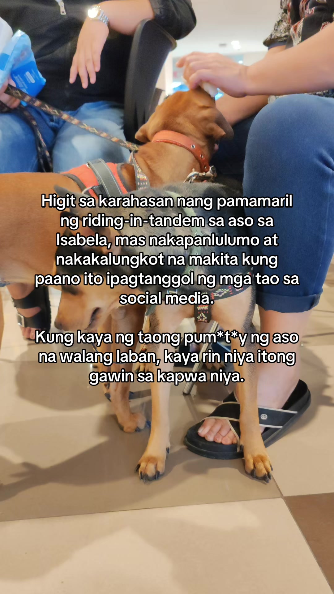 @Doc Gab | Veterinarian ๐พ๐ฉบ
