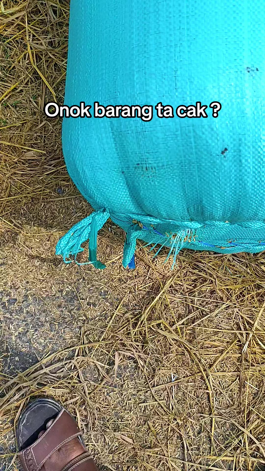 @Pemain Dalam