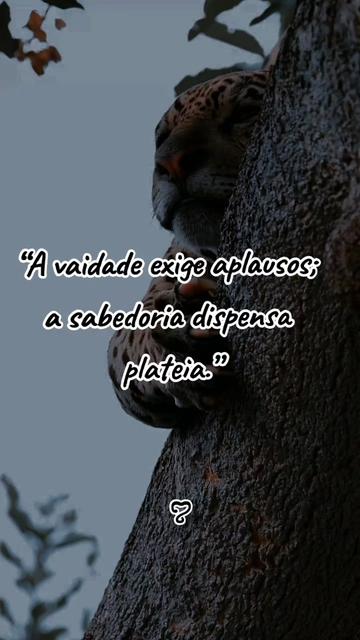 @Garota goiana ꨄ ֶָ֢⭒