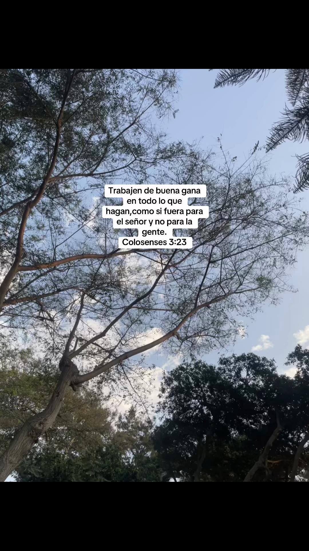 @luzbelizario