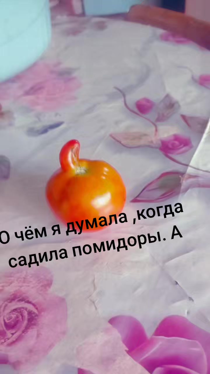 @ОЛЕСЯ💞