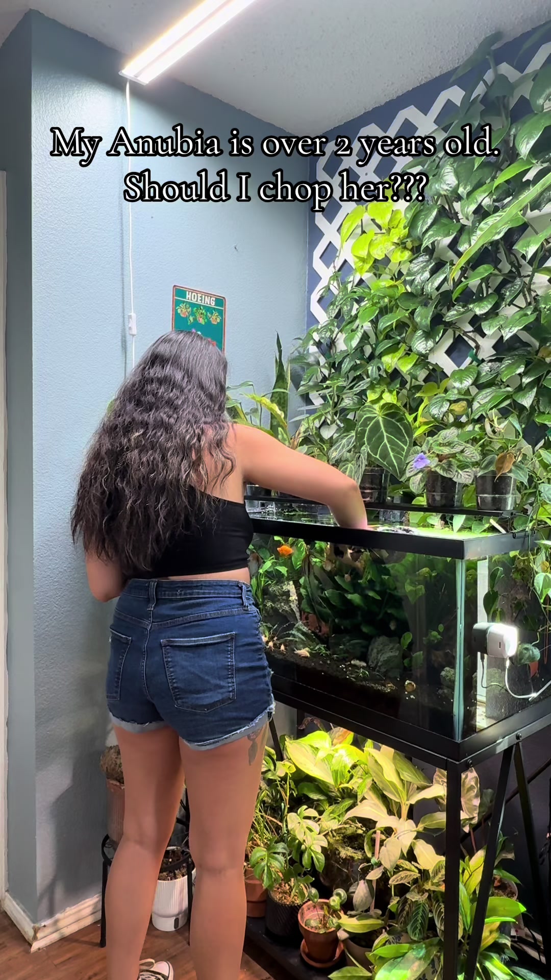 @dannys_fish_and_plants