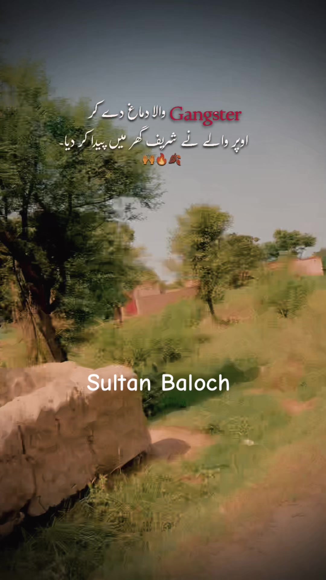 @Sultan Baloch 33