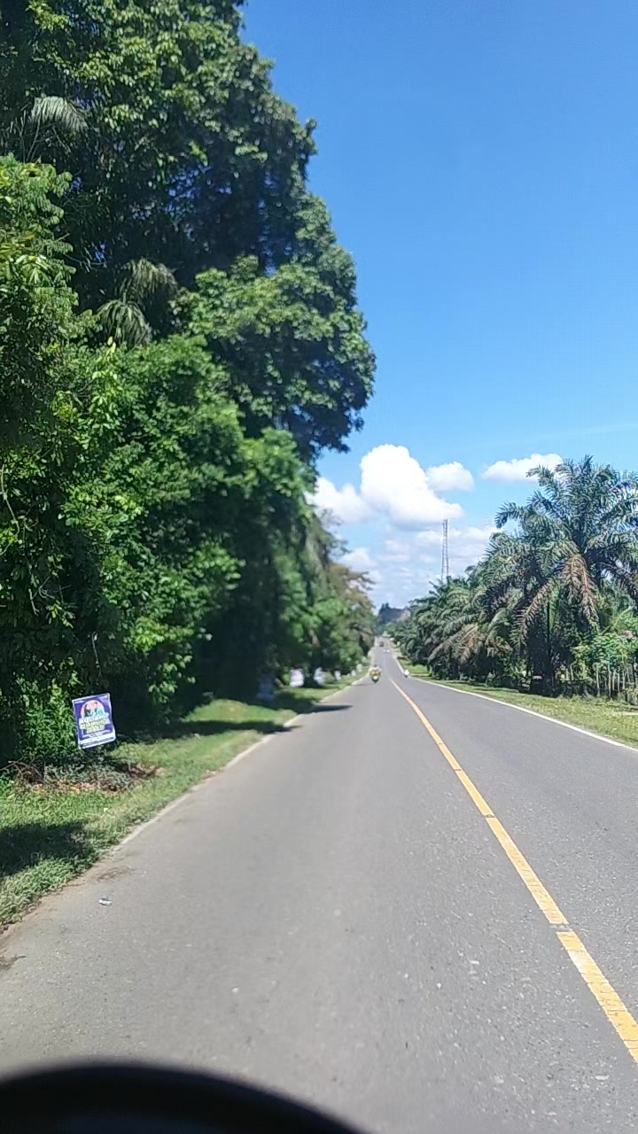 @Ginok