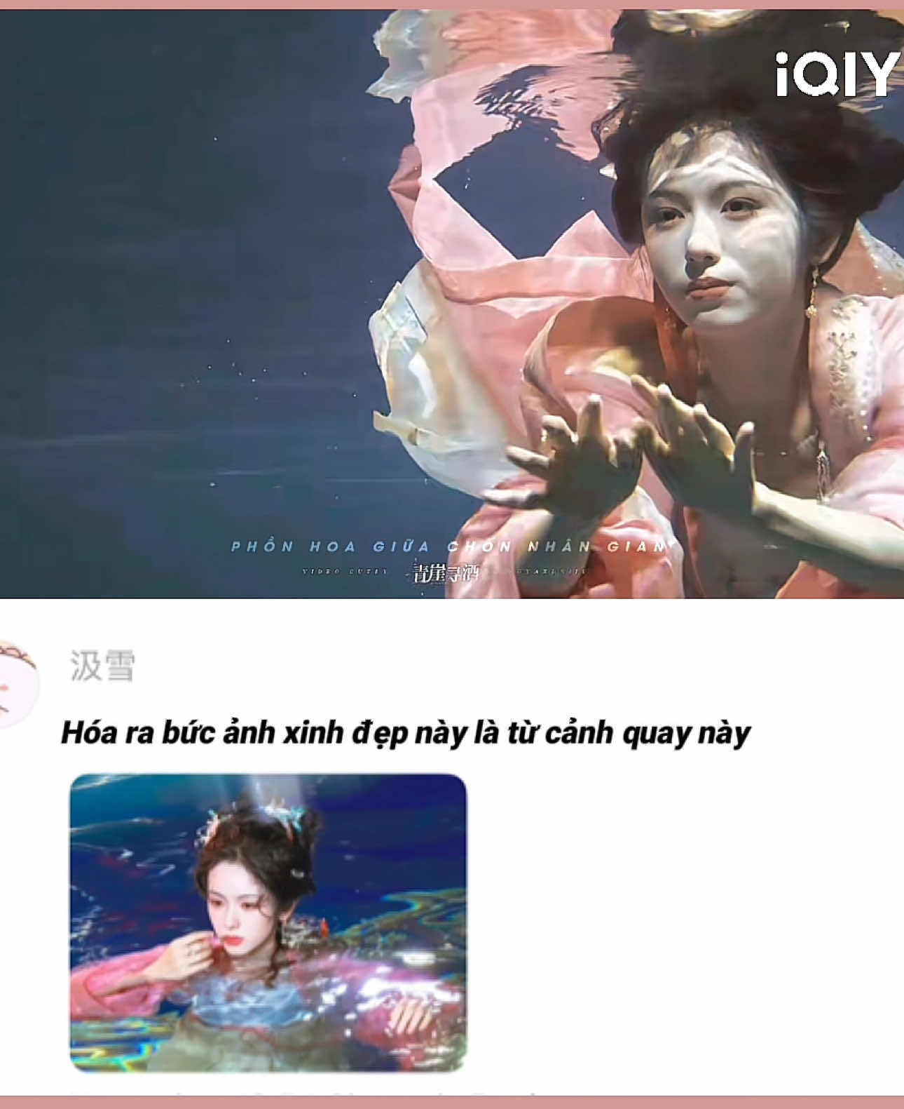 @Phồn Hoa Giữa Chốn Nhân Gian🌸