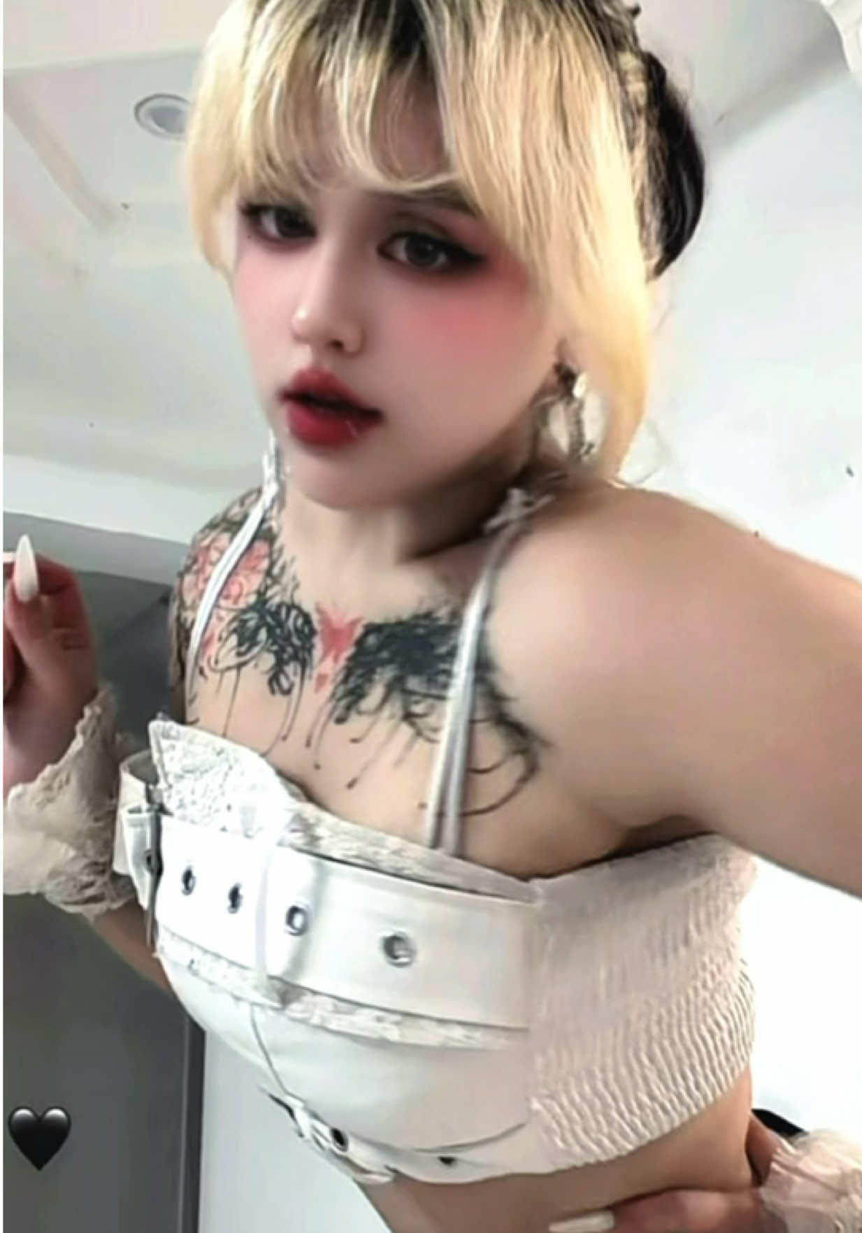 @Calico 카리코 🐈⬛