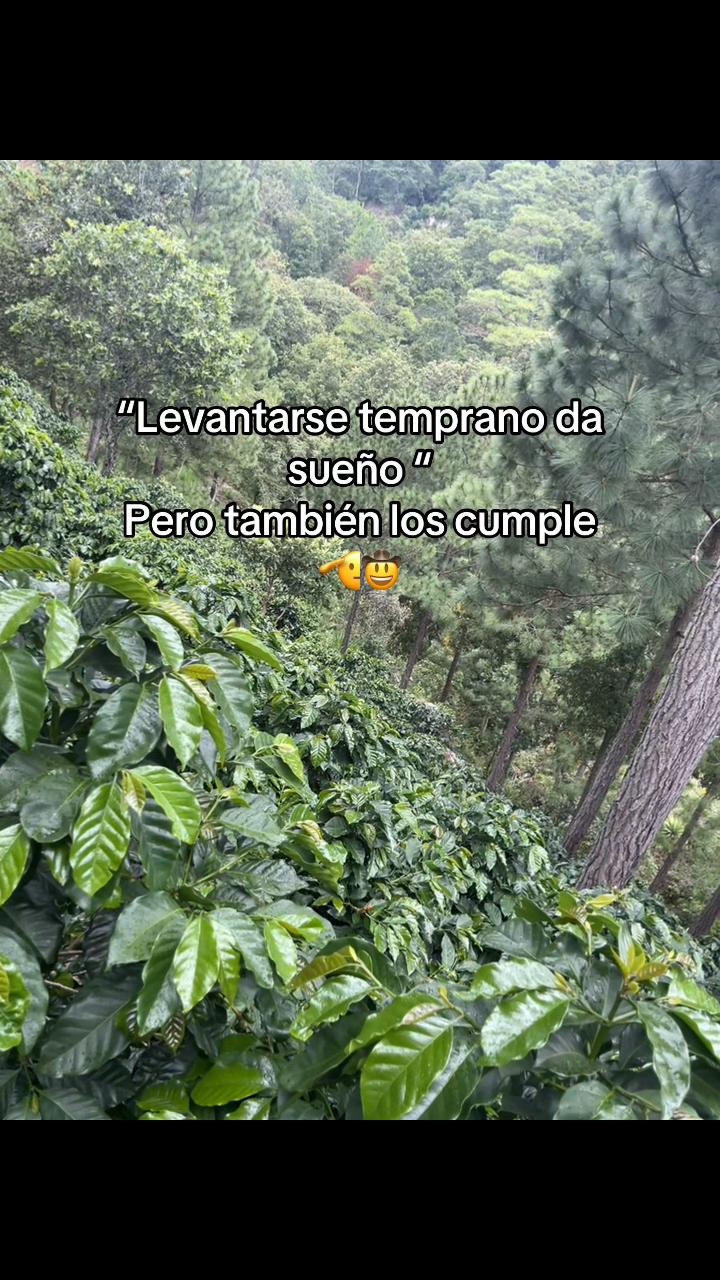 @Denia Díaz👻🤠