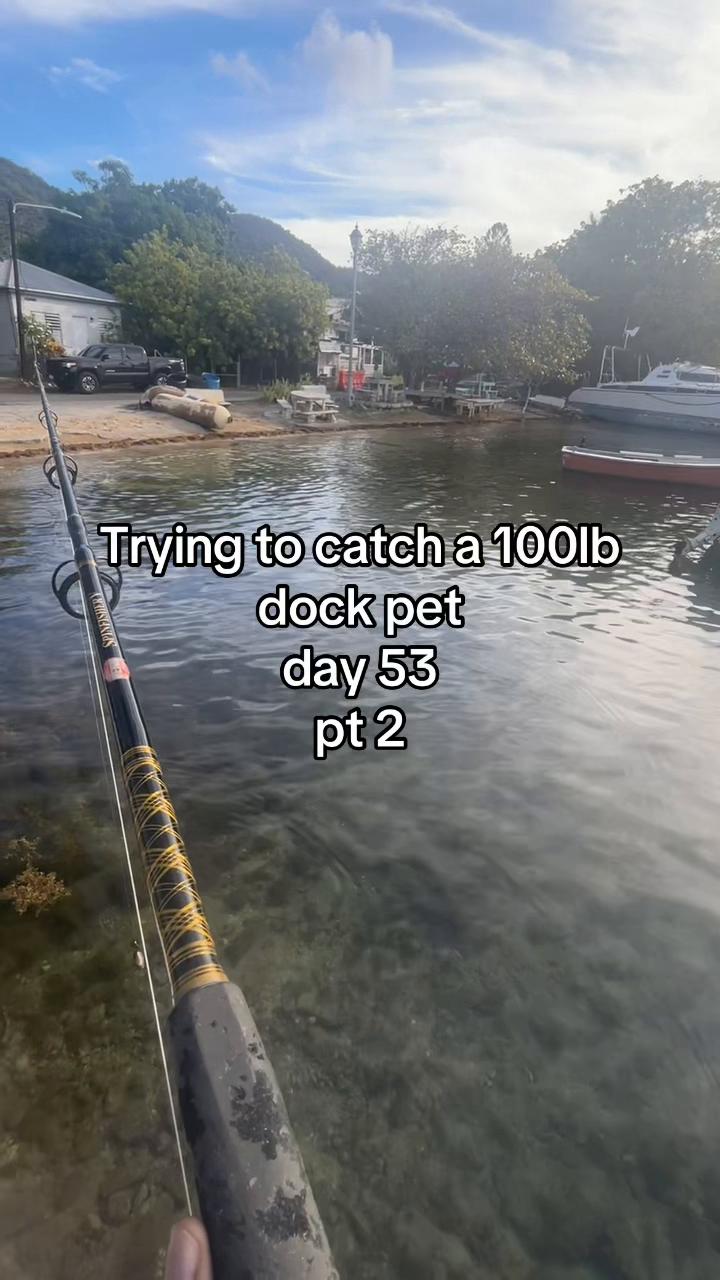 @Sandy’s bait & tackle