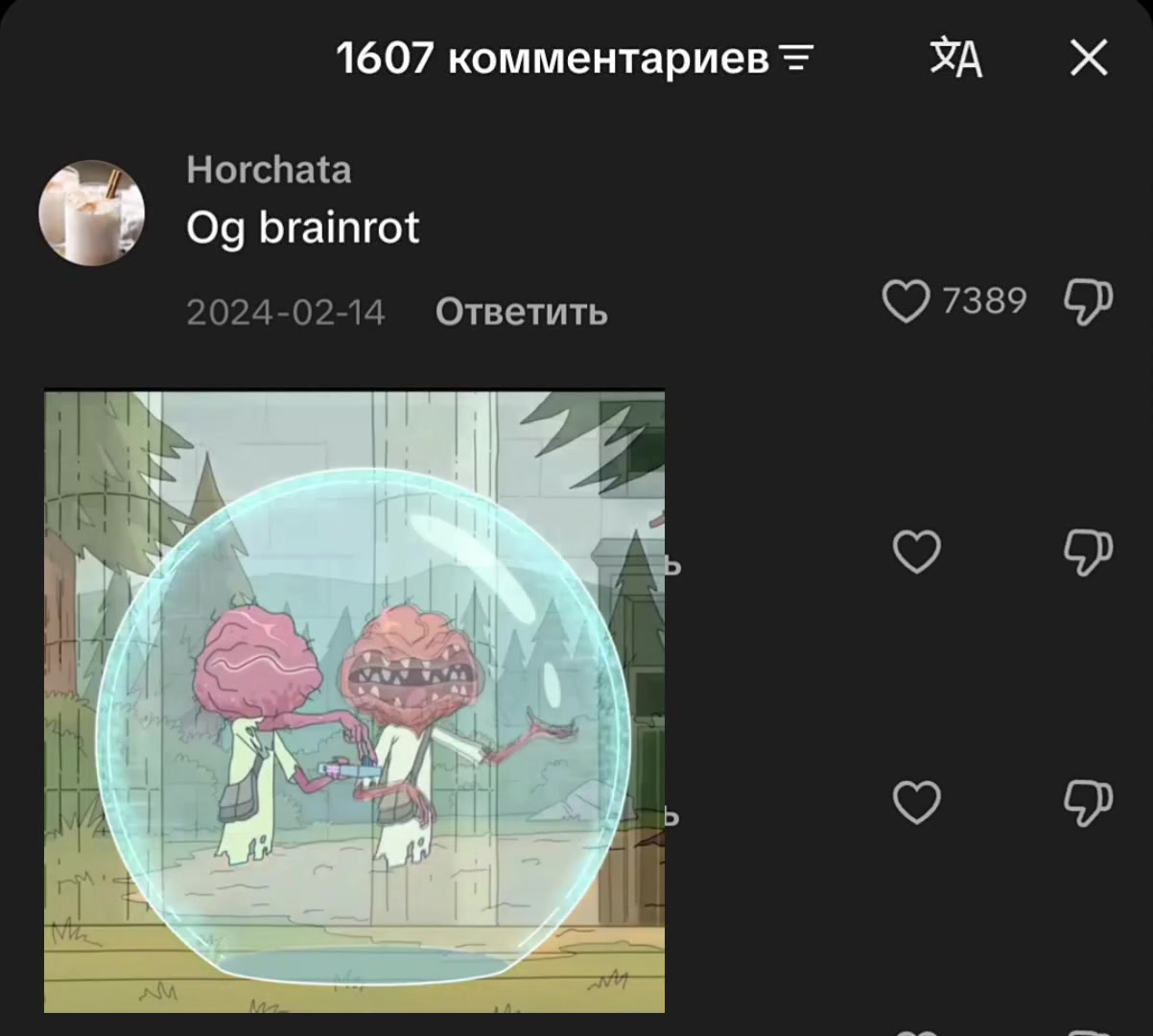 @Qamari