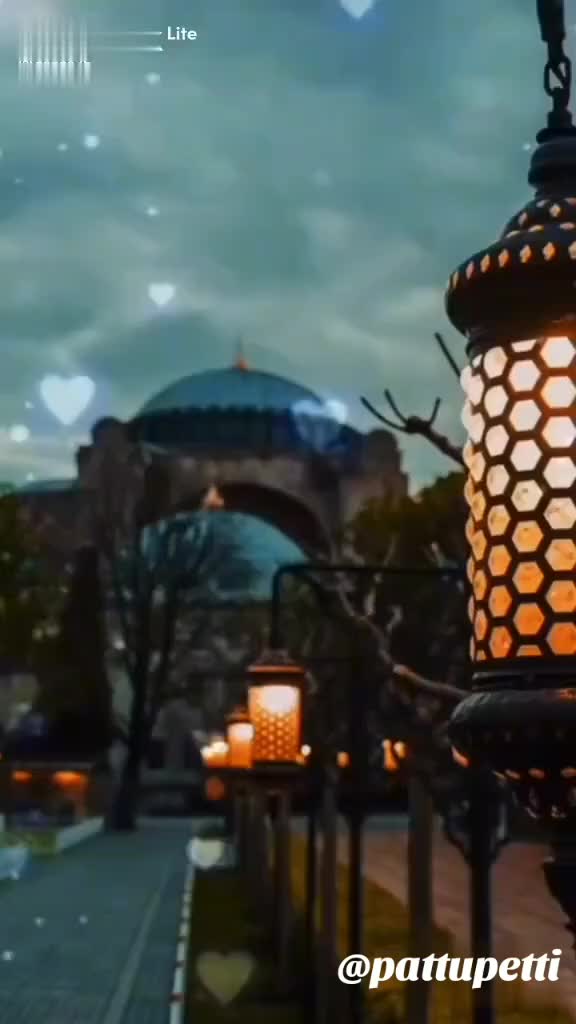 @🦋✨в&upsilon;ттєяfℓу🦋✨🗝️💕🆂︎🫶🏻🅹
