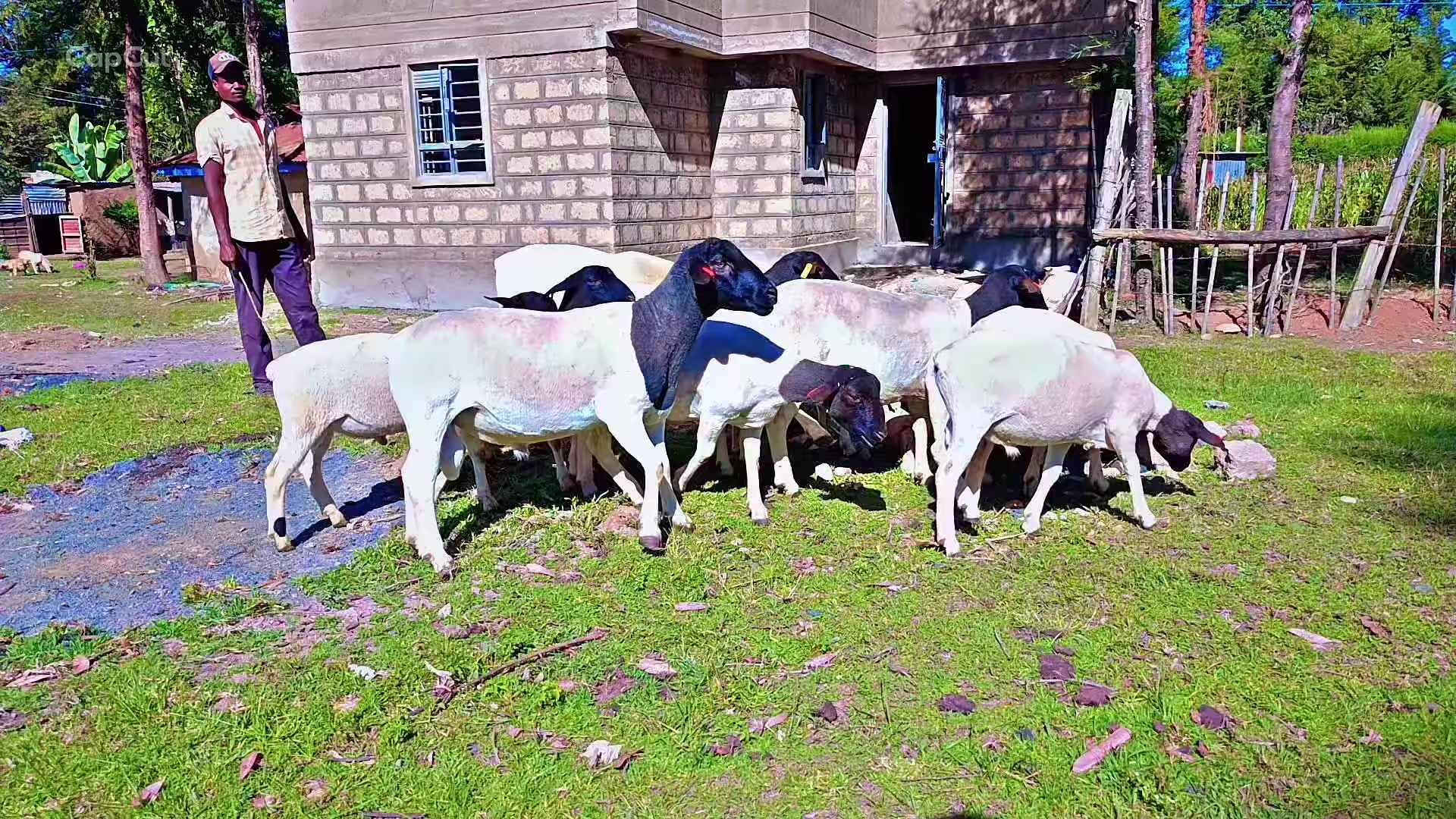 @✌️ INDEPENDENCE FARM ELDORET✌️