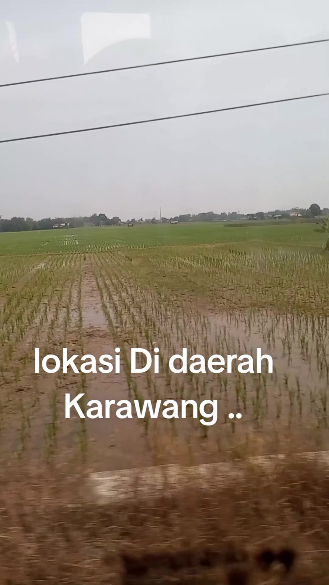 @mmh smdng