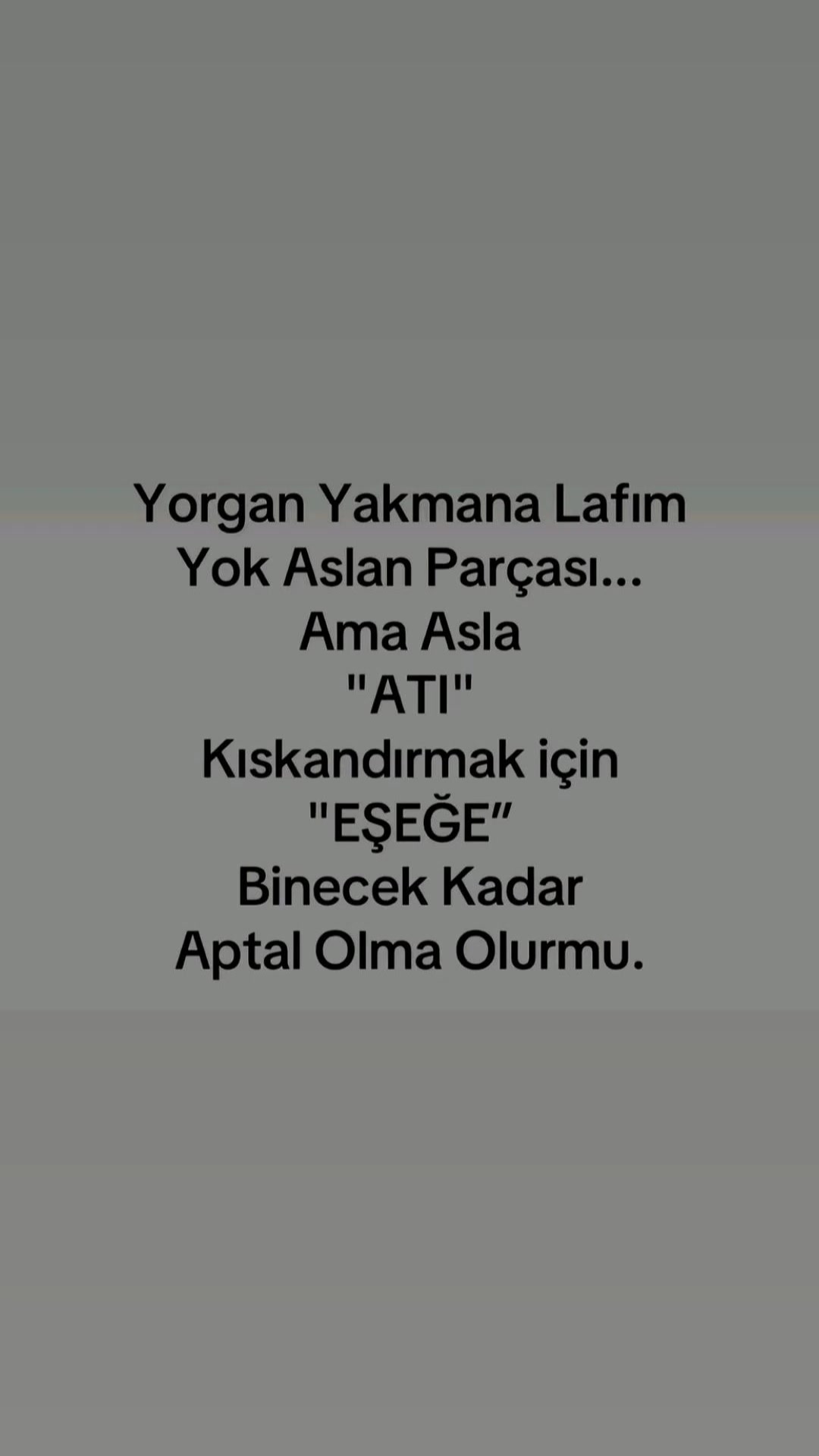 @Sibel Oktay
