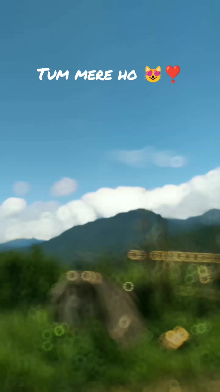 @🦋~INTROVERT~🦋