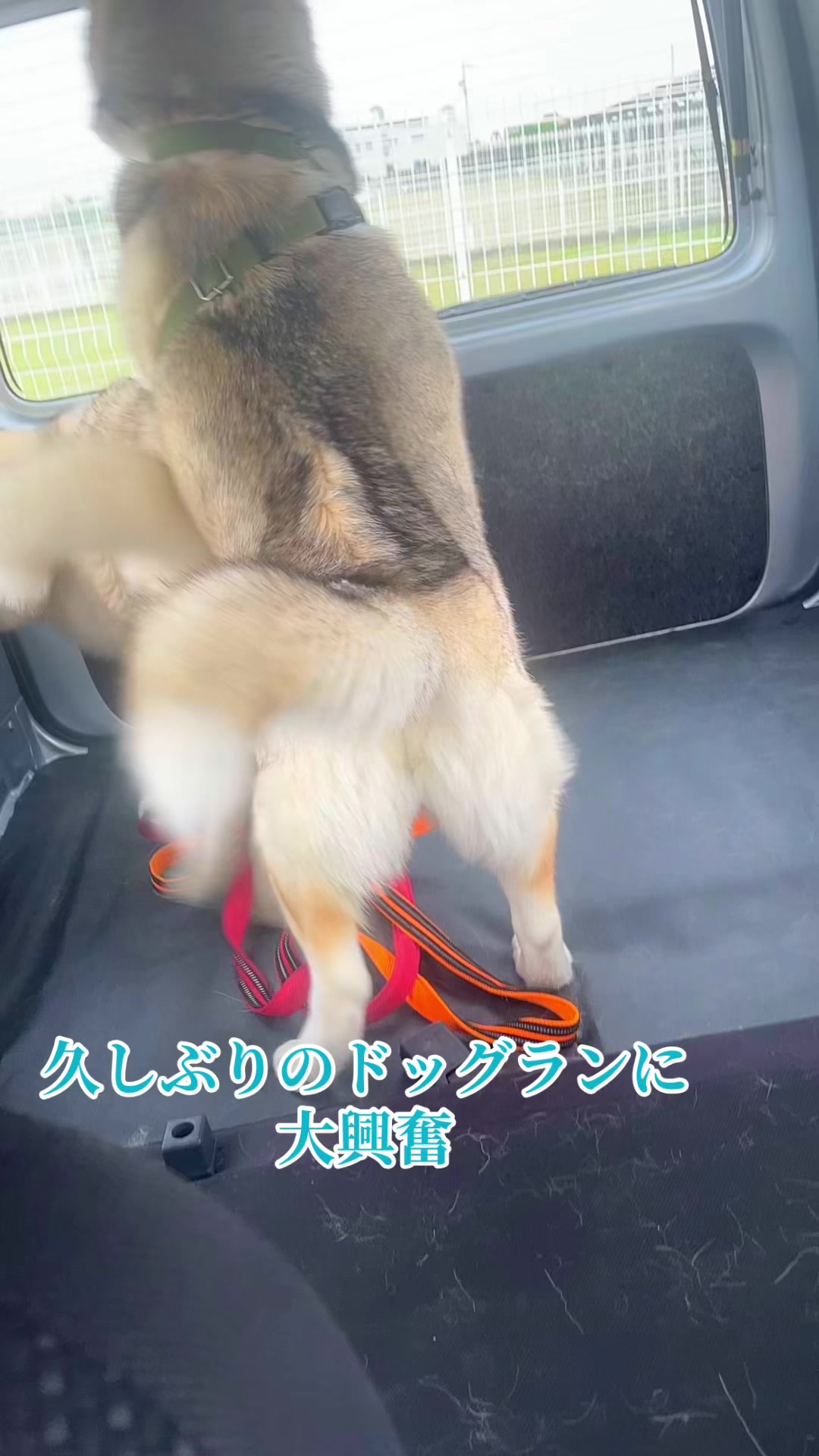 @サン☀️とムーン🌙