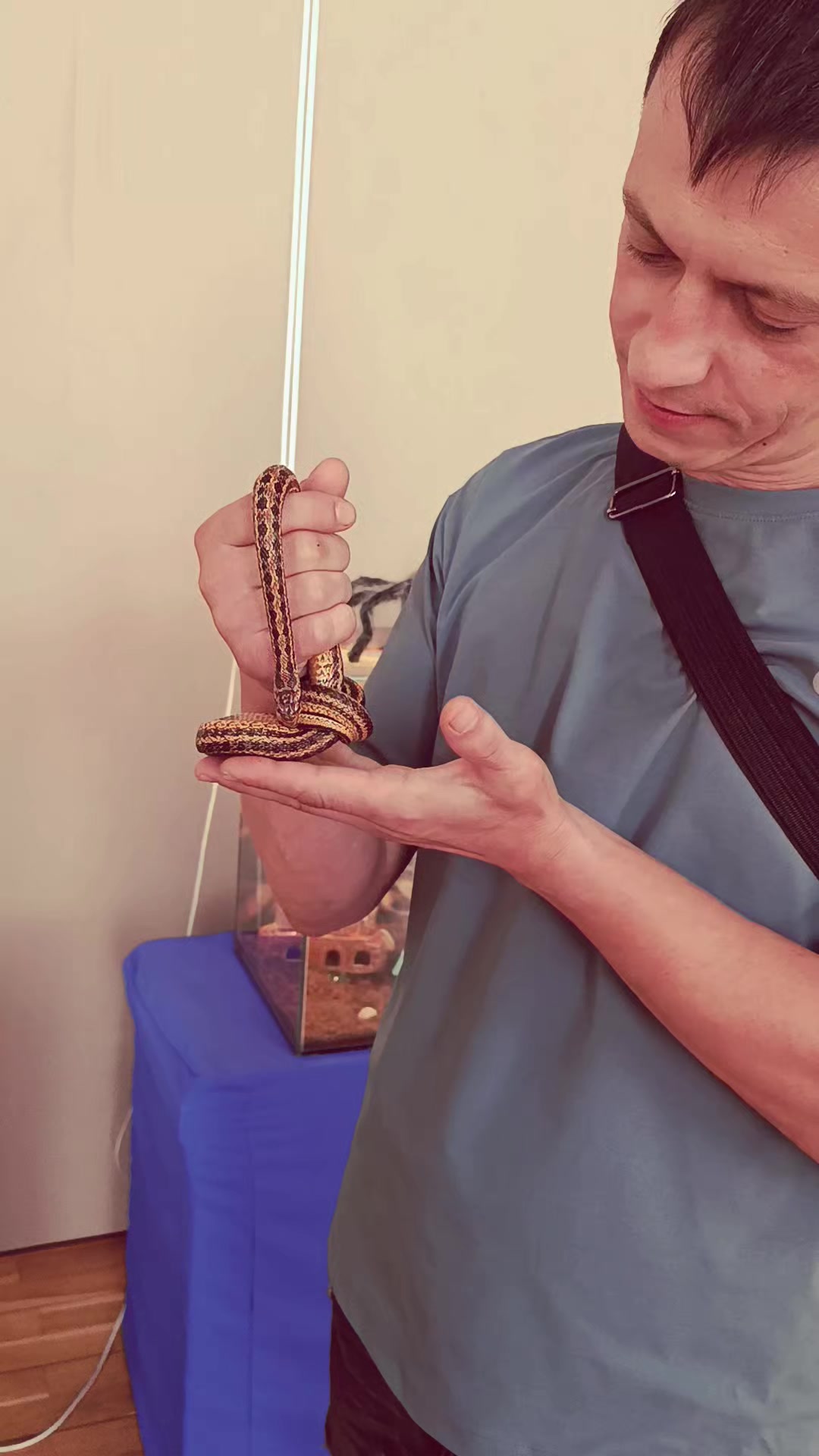 @павлик
