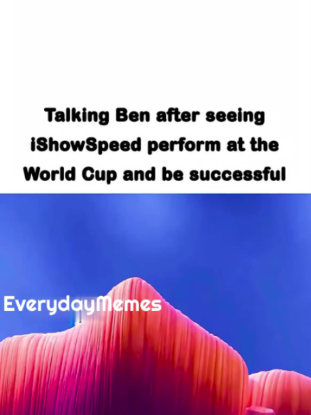 @EverydayMemes