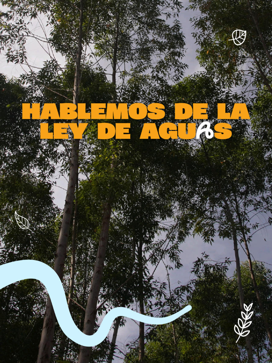 @Ministerio de Ambiente GT