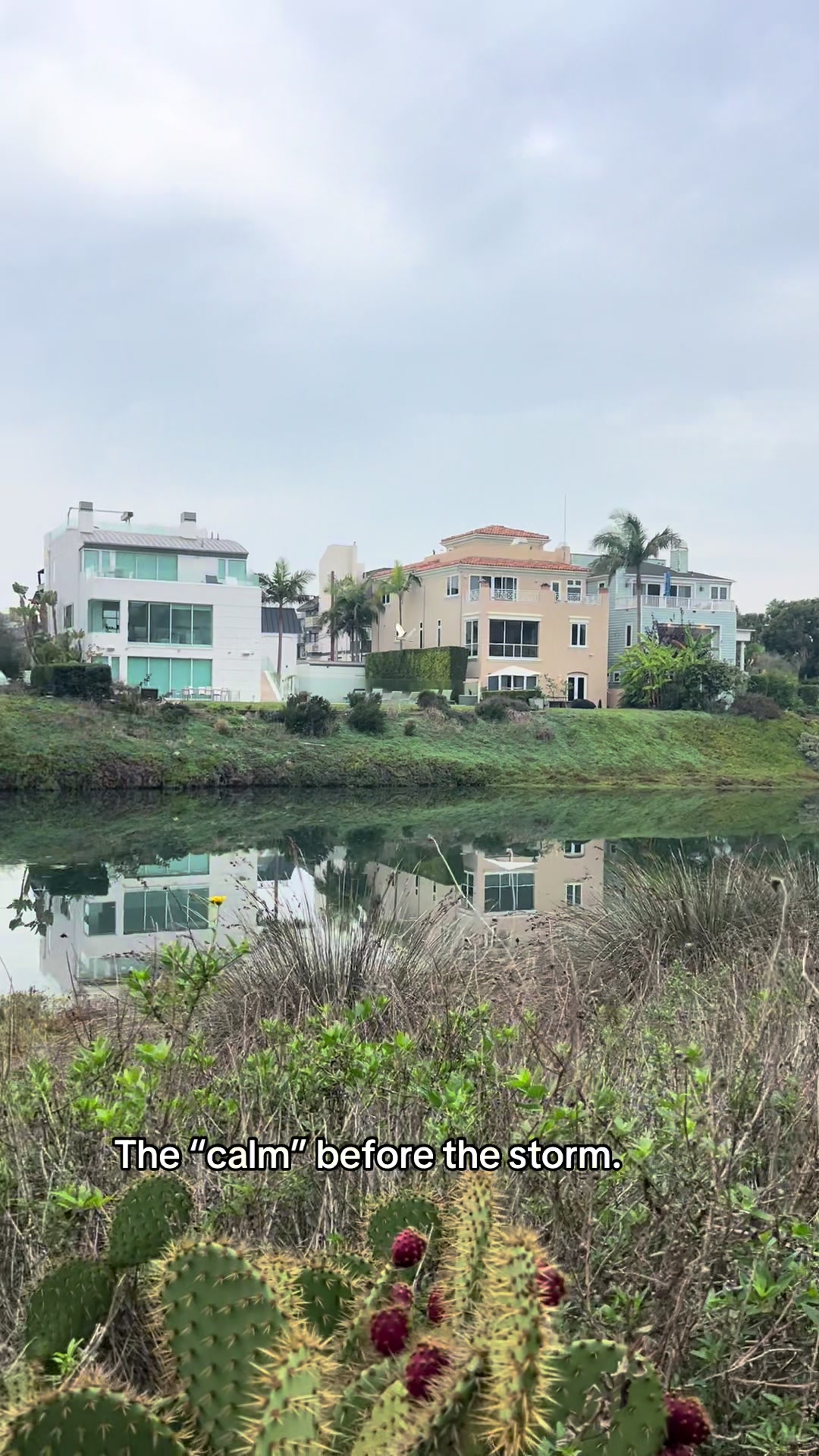 @Karin Hollink | Real Estate