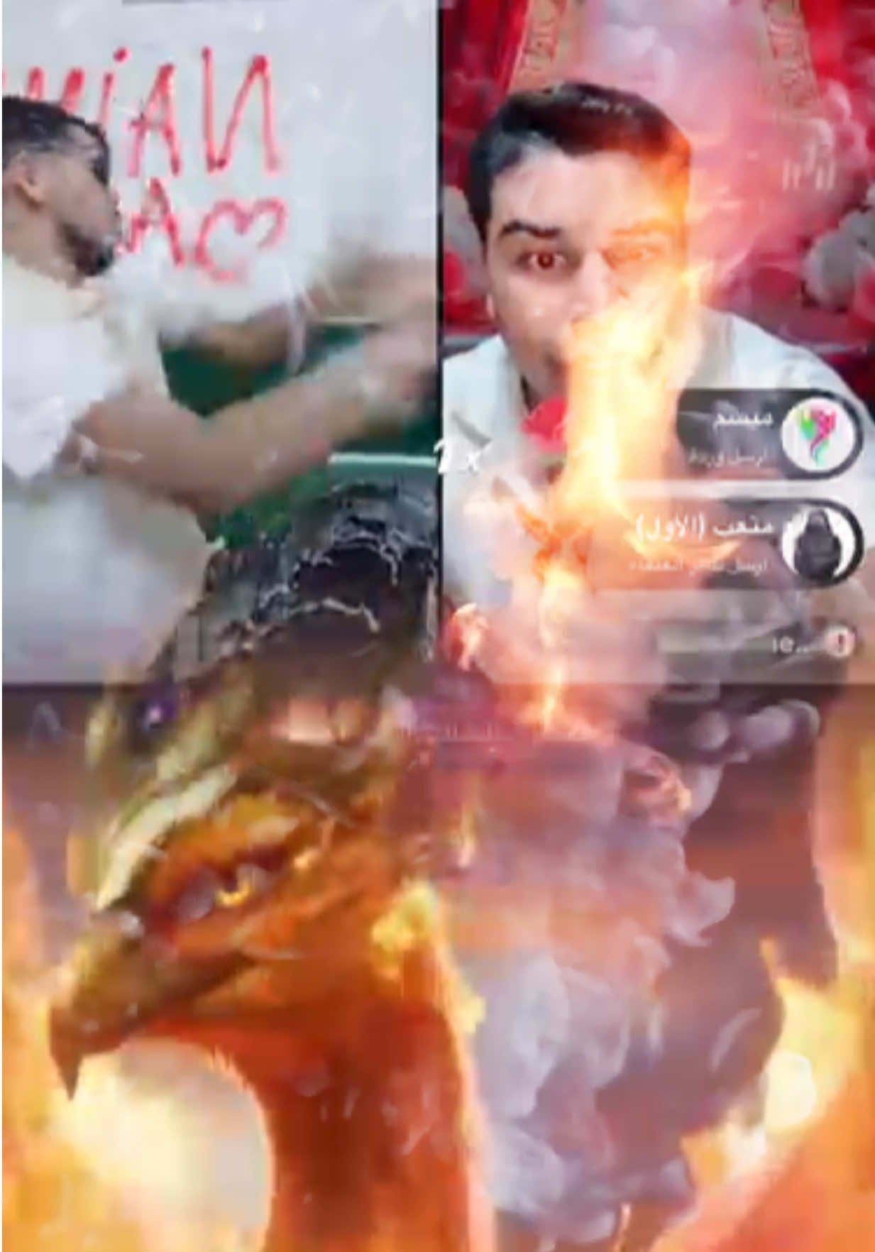@brandabood7