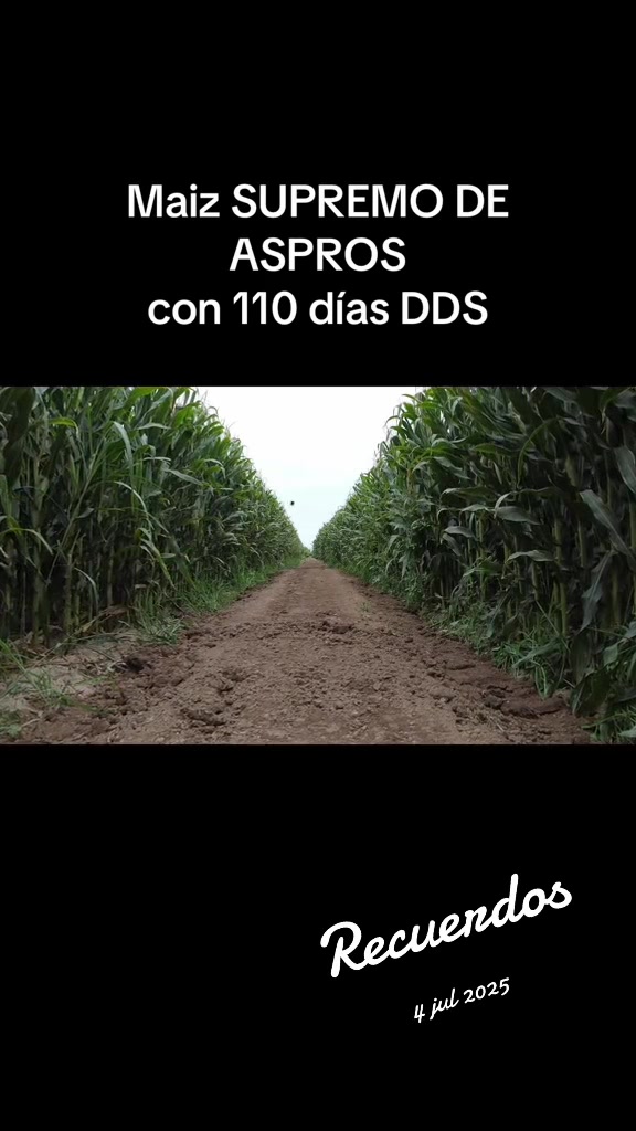@Pablo Villarreal