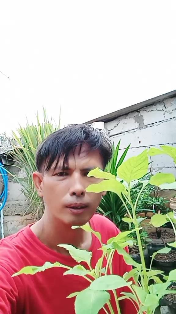 @play produk🛒