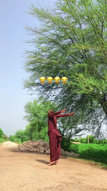@alibhailashari6