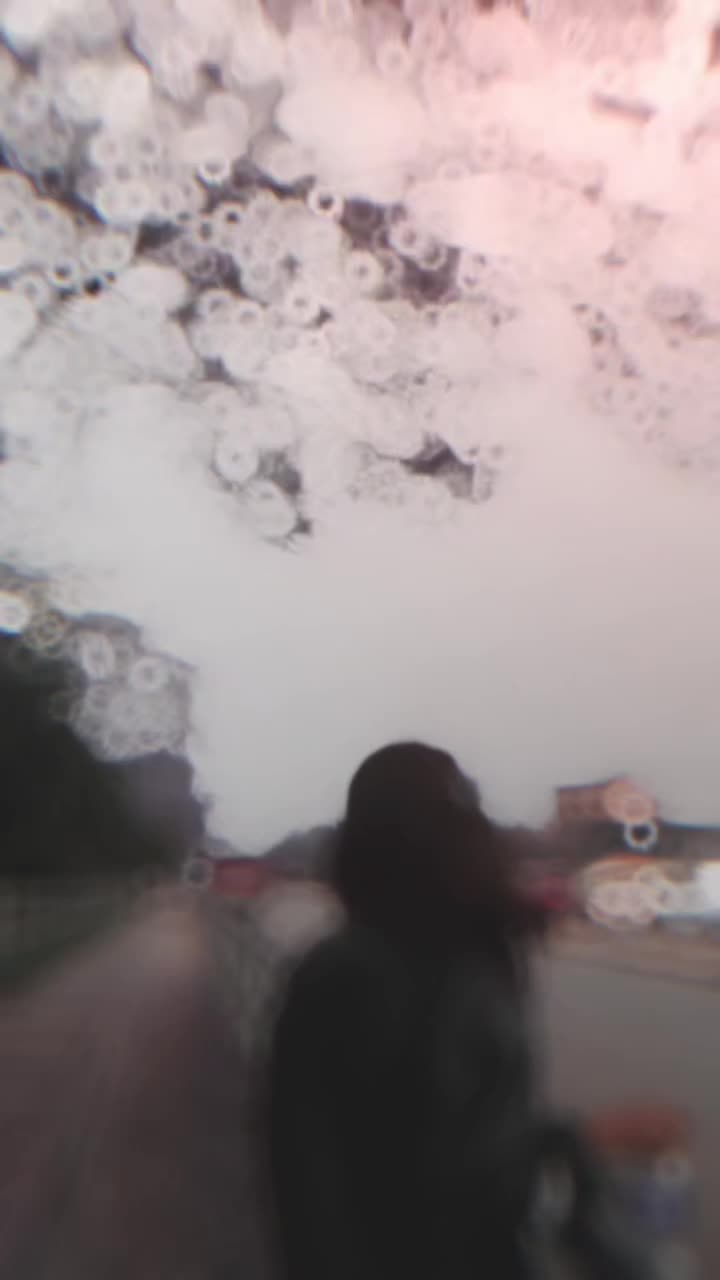 @Shrijaneyyyyyyy🕷️