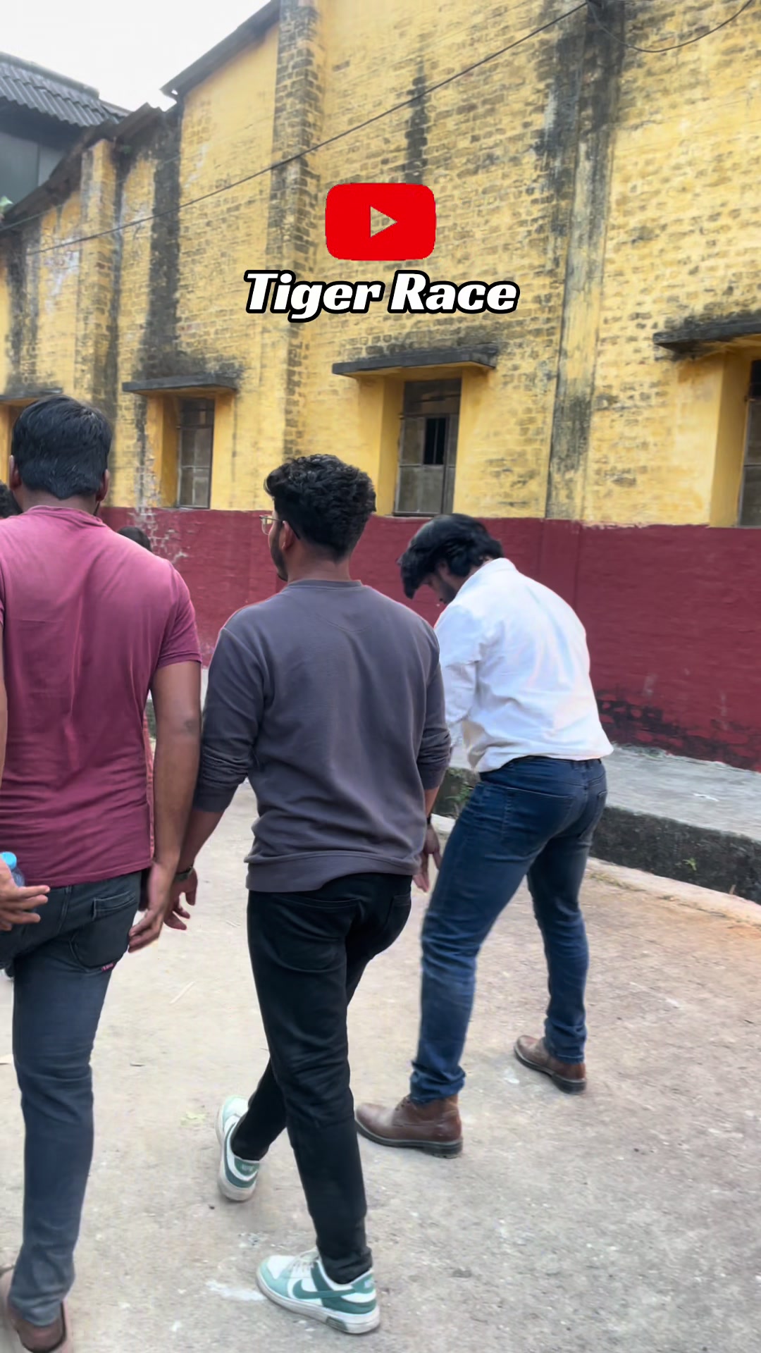 @Tiger Race Channel