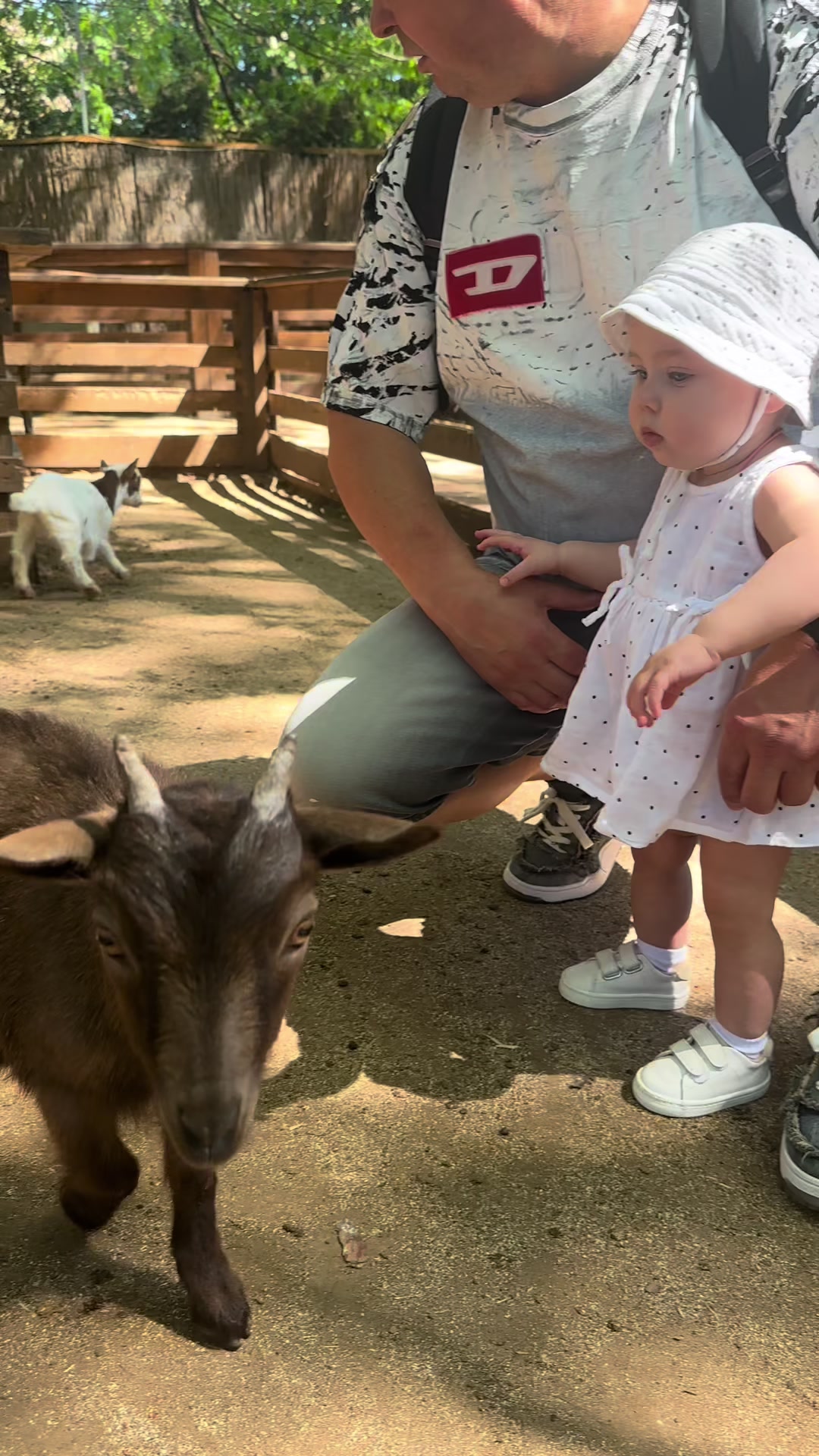 @Канищая