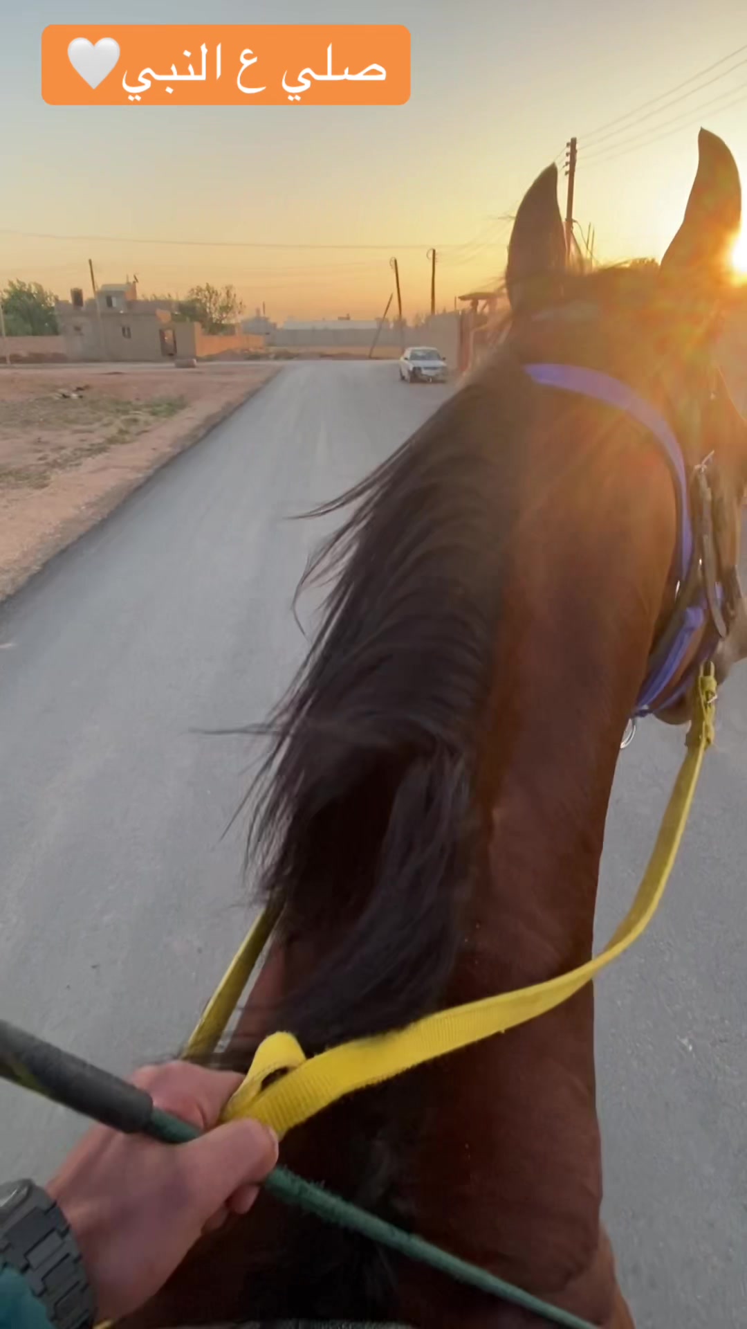 @عزو المصراتي🔥