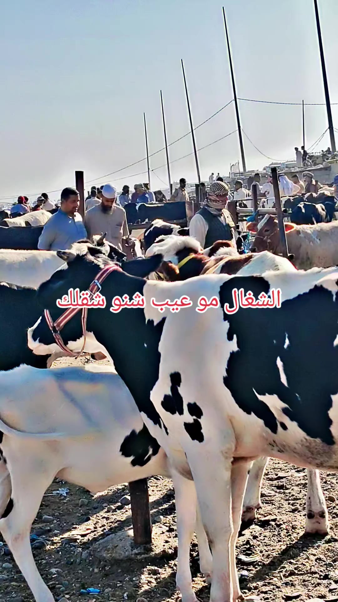 @حمودي حمودي ☺