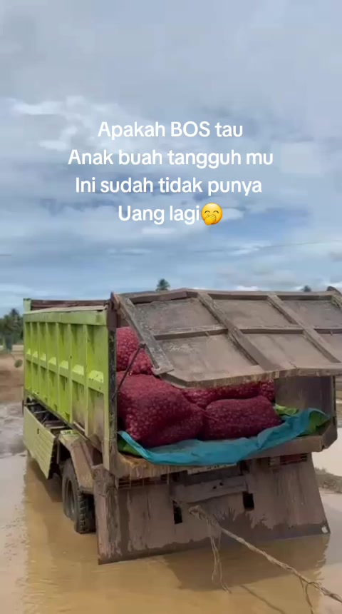 @Andhye☆