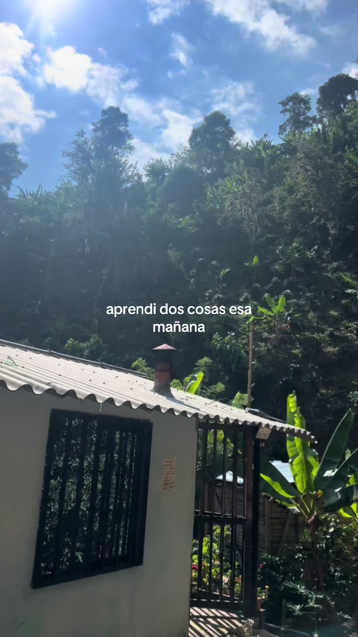 @ESTIVEN🧔🏻