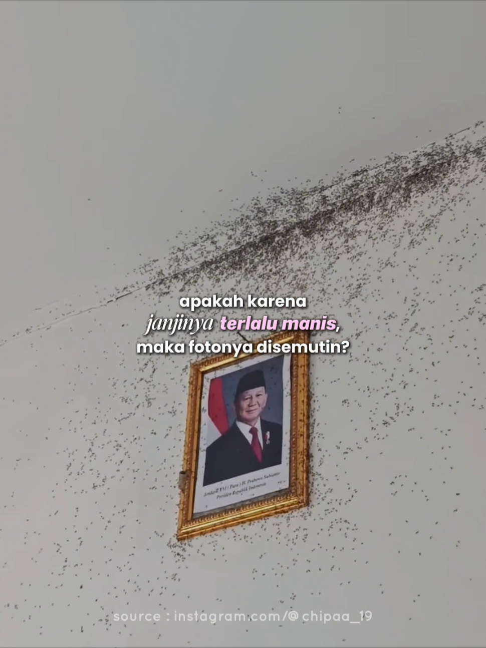 @who am i ꫂ ၴႅၴ