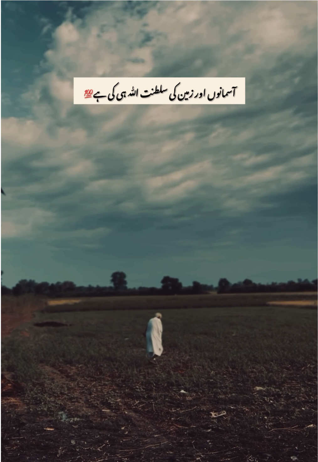 @پنجاب❤️🩹