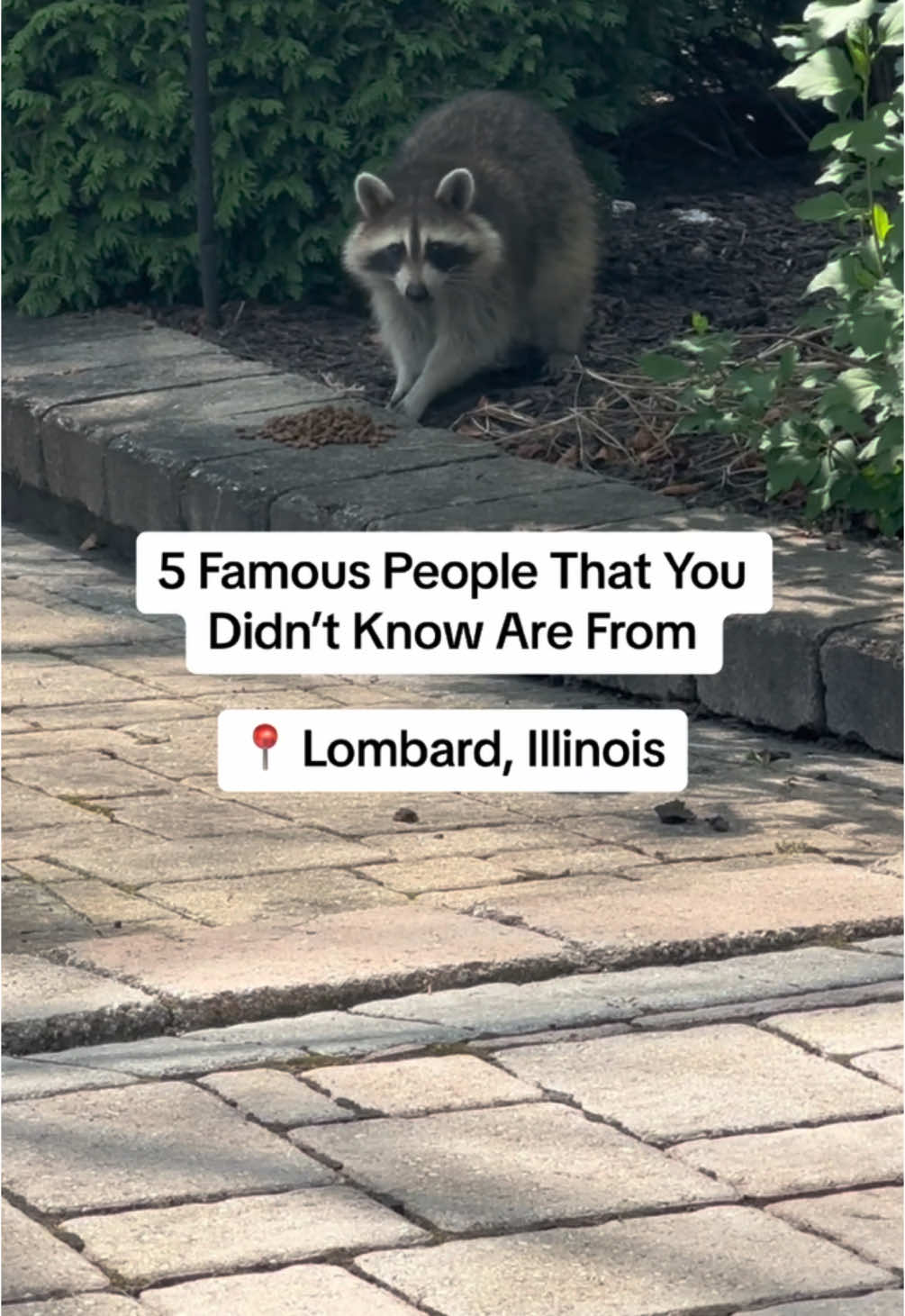 @chitownexplorer