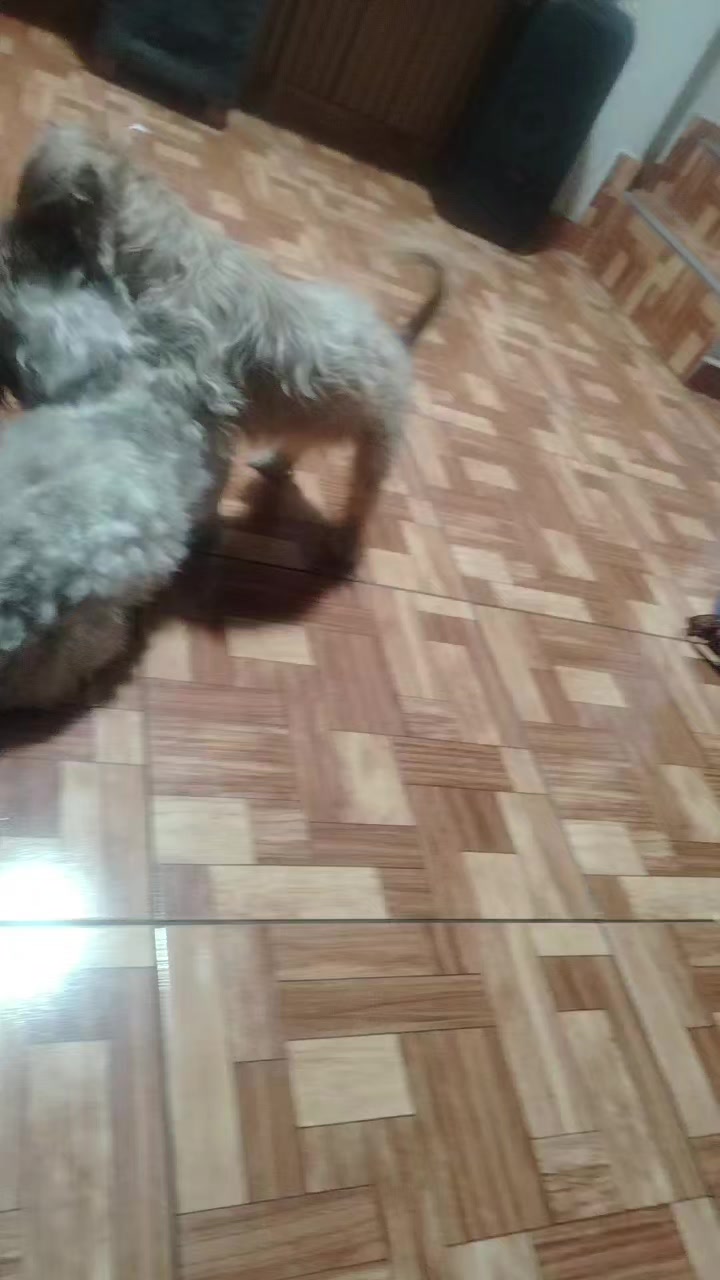 @Alessandra Romero Ce