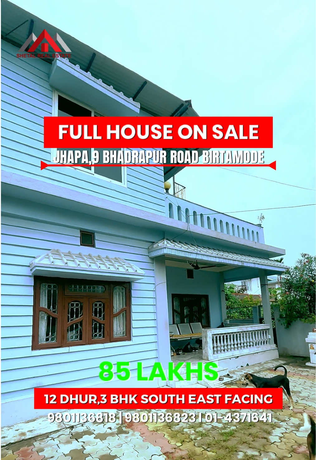 @Shetal Real Estate