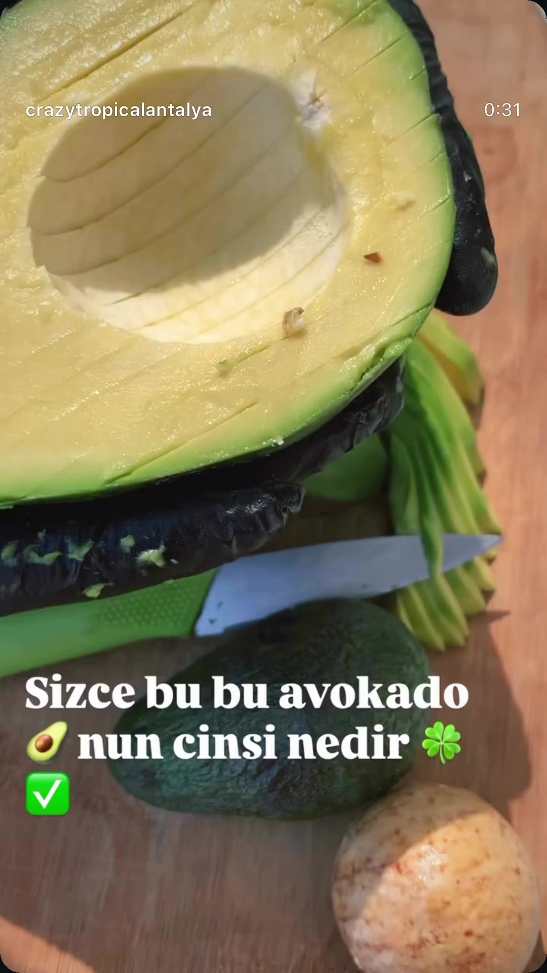 @Crayz tropikalantalya
