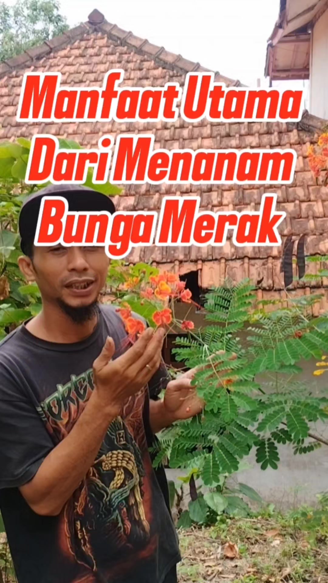 @Bukit Farming