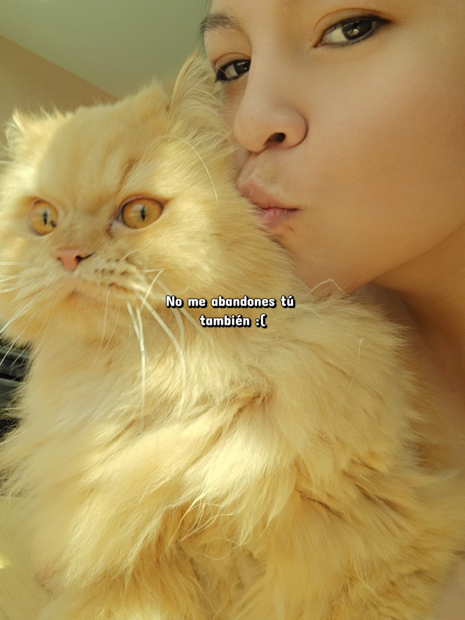 @Michu🐱🐶