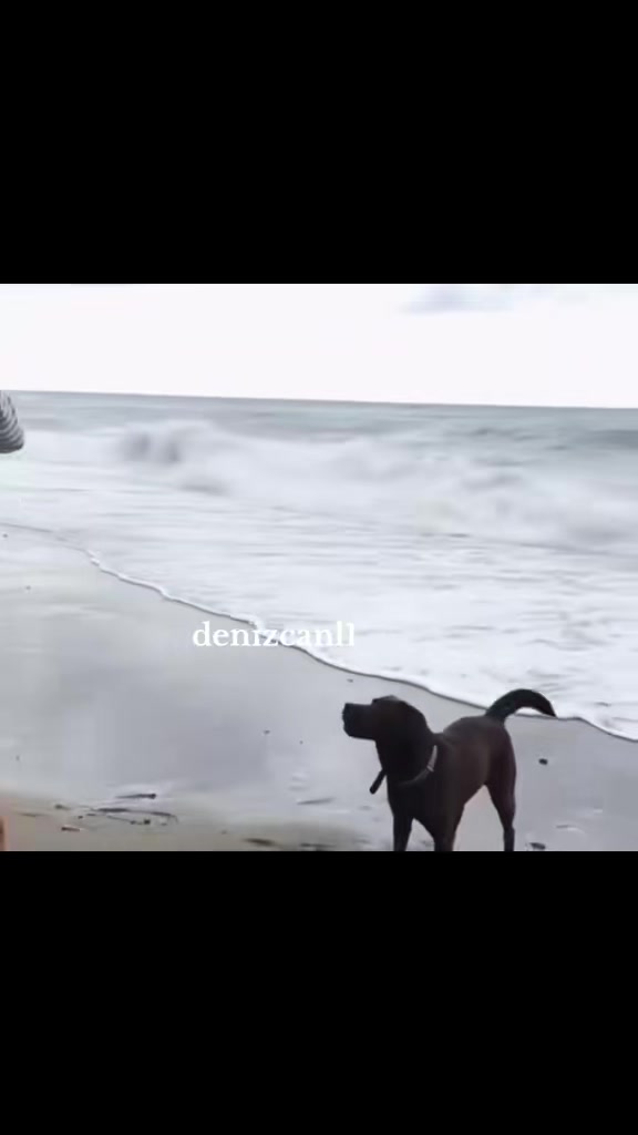 @Deniz Can Aktaş