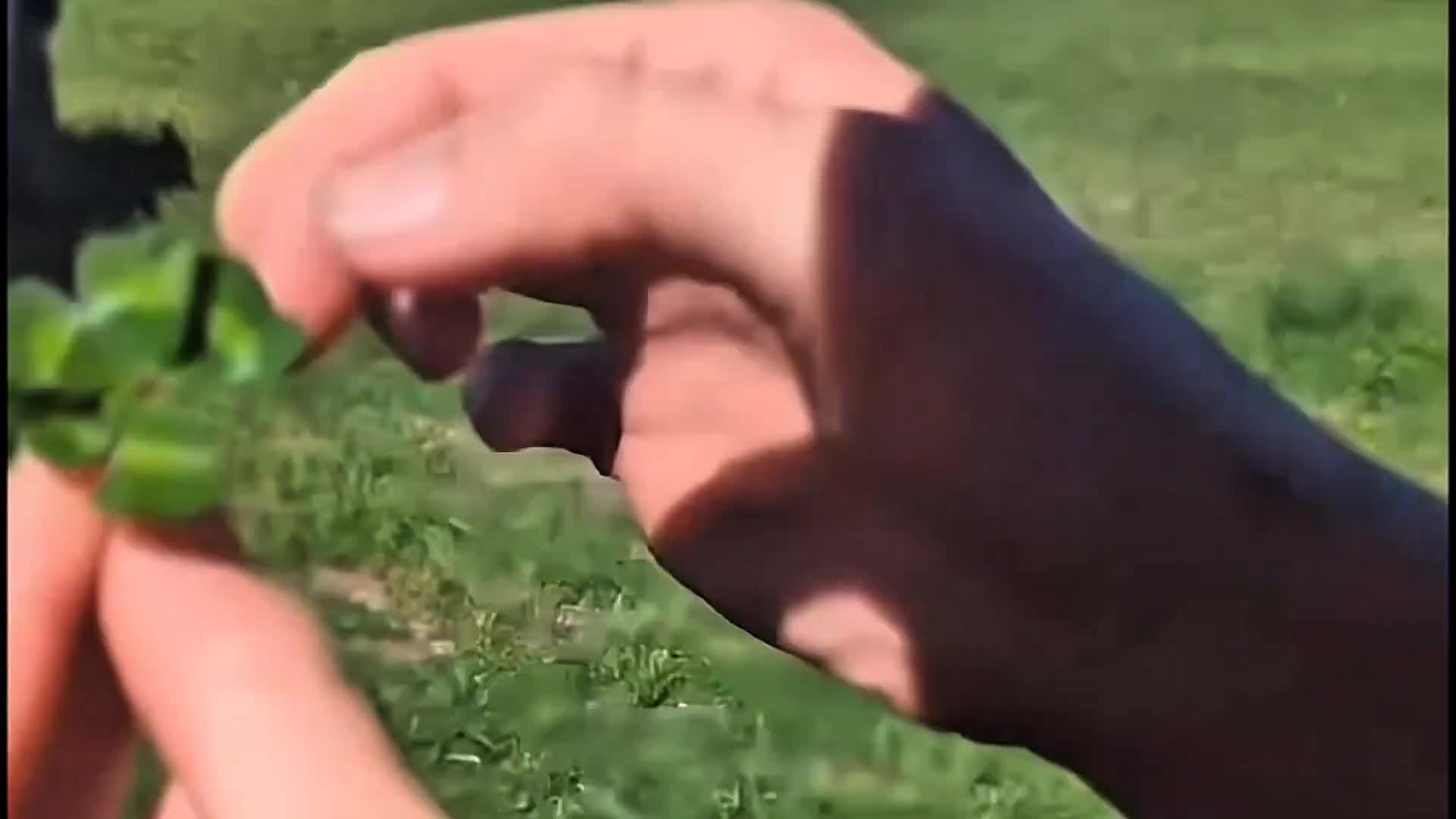 @ᵥₐᵣₐcᵤₜ